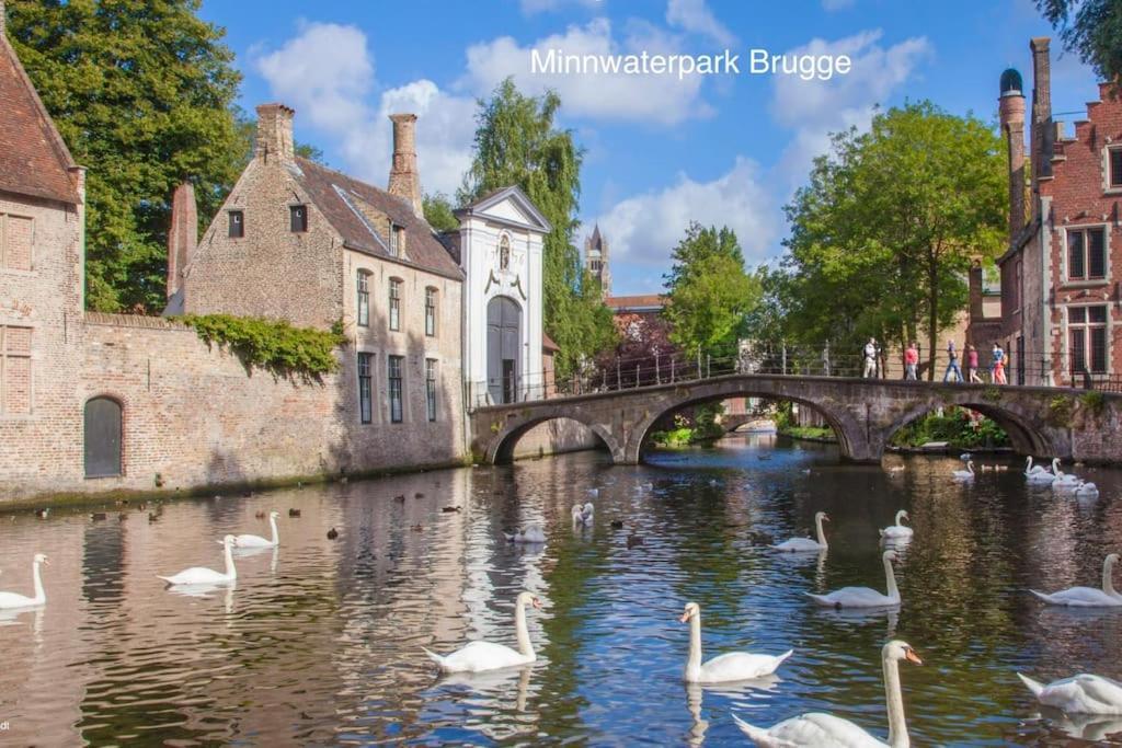 Cozb Lejlighed Brugge Eksteriør billede